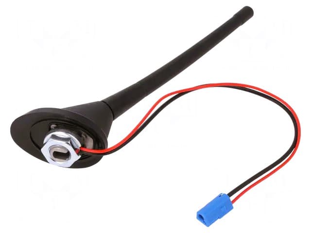 ant.03